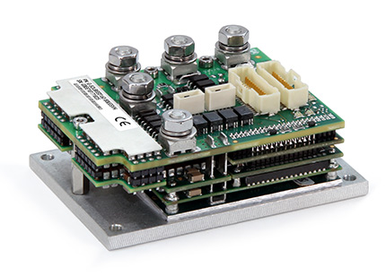 Double-Gold-Solo-Bee-web